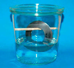 C-63 disc spring specimen in 1.4310 stainless steel, freely immersed in a corrosive solution with no preload applied.